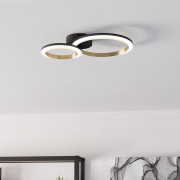 Eglo - LED Aptumšojama griestu lampa LED/12W/230V 4000K melna/zelta