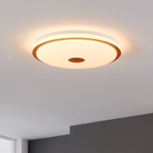 Eglo - LED Aptumšojama griestu lampa LED/35W/230V + tālvadības pults