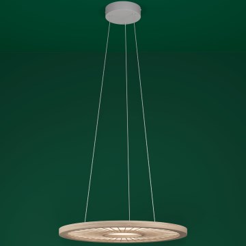 Eglo - LED Aptumšojama lustra ar auklu LED/36W/230V 4000K bēša