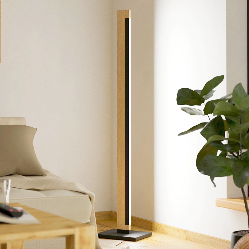 Eglo - LED Aptumšojama skārienvadāma grīdas stāvlampa CAMACHO LED/22W/230V