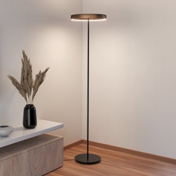 Eglo - LED dimmējama stāvlampa ar kustības sensoru 2xLED/19W/230V 2200-6500K brūna