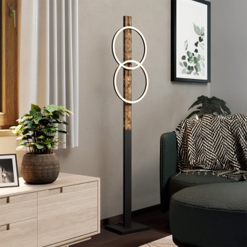Eglo - LED Grīdas stāvlampa 2xLED/12W/230V 3000K brūna/melna