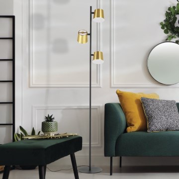 Eglo - LED Grīdas stāvlampa 3xGU10/4,6W/230V 3000K zelta