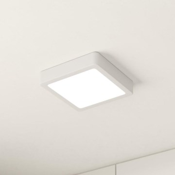 Eglo - LED Griestu gaismeklis LED/10,5W/230V