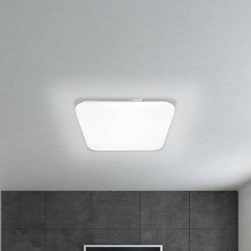 Eglo - LED Griestu gaismeklis LED/11,5W/230V