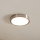 Eglo - LED Griestu gaismeklis LED/16,5W/230V