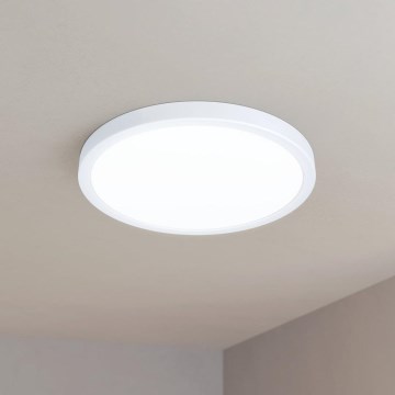 Eglo - LED Griestu gaismeklis LED/20W/230V