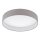 Eglo - LED griestu gaismeklis LED/24W/230V