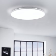 Eglo - LED Griestu gaismeklis LED/29W/230V d. 50 cm
