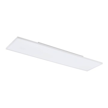 Eglo - LED Griestu gaismeklis LED/31,5W/230V