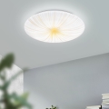 Eglo - LED Griestu lampa LED/10W/230V