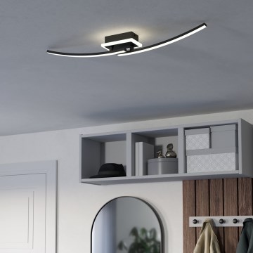 Eglo - LED Griestu lampa LED/12W/230V 4000K melna