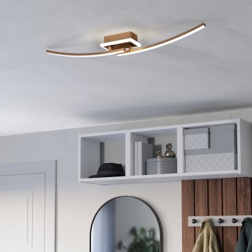 Eglo - LED Griestu lampa LED/12W/230V 4000K varš