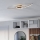 Eglo - LED Griestu lampa LED/12W/230V 4000K varš