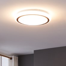 Eglo - LED Griestu lampa LED/14,6W/230V