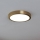 Eglo - LED Griestu lampa LED/17W/230V d. 21 cm