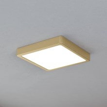 Eglo - LED Griestu lampa LED/17W/230V