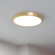 Eglo - LED Griestu lampa LED/20,5W/230V d. 28,5 cm