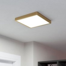 Eglo - LED Griestu lampa LED/20,5W/230V