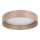 Eglo - LED Griestu lampa LED/24W/230V