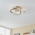 Eglo - LED Griestu lampa LED/35W/230V