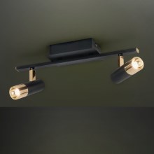 Eglo - LED lampa 2xLED/5W/230V/12V