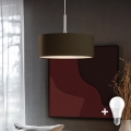Eglo - LED Lustra ar auklu TUNJA 1xE27/60W/230V brūna