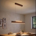 Eglo - LED pakaramā lustra uz troses LED/17W/230V + LED/4,2W valrieksts