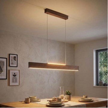 Eglo - LED regulējama lustra uz troses LED/21W/230V + LED/8,4W valrieksts