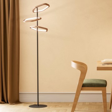 Eglo - LED regulējamā stāvlampa LED/20W/230V misiņa krāsā