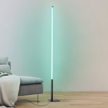 Eglo - LED RGB Aptumšojama grīdas stāvlampa LED/13,5W/230V 2700-6500K + tālvadības pults