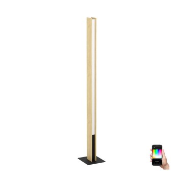 Eglo - LED RGBW Aptumšojama grīdas stāvlampa LED/35W/230V 2700-6500K