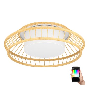 Eglo - LED RGBW Aptumšojama griestu lampa LED/22W/230V 2700-6500K