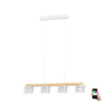 Eglo - LED RGBW Aptumšojuma lustra ar auklu 4xLED/3,7W/230V 2700-6500K