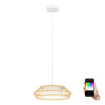 Eglo - LED RGBW Aptumšojuma lustra ar auklu LED/22W/230V 2700-6500K