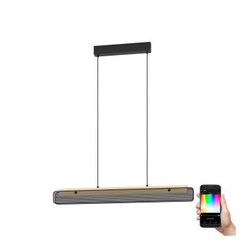 Eglo - LED RGBW Aptumšojuma lustra ar auklu LED/34W/230V 2700-6500K