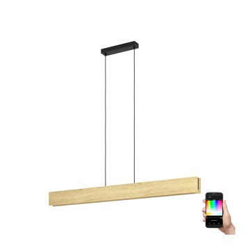 Eglo - LED RGBW Aptumšojuma lustra ar auklu LED/35W/230V 2700-6500K
