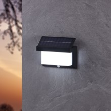 Eglo - LED Saules enerģijas sienas lampa ar sensoru LED/3,84W/3,7V IP44