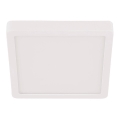 Eglo - LED Vannas istabas griestu gaismeklis LED/20,5W/230V IP44 balts