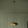 Eglo - Lustra ar auklu 1xE27/40W/230V 53 cm melna/zelta