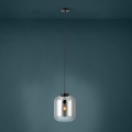 Eglo - Lustra ar auklu 1xE27/40W/230V d. 25 cm dūmakains