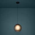Eglo - Lustra ar auklu 1xE27/40W/230V dūmakains