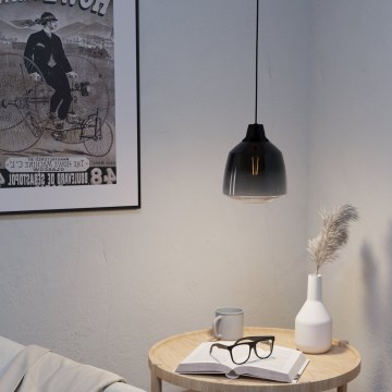 Eglo - Lustra ar auklu 1xE27/40W/230V