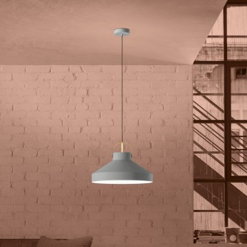 Eglo - Lustra ar auklu 1xE27/40W/230V pelēka