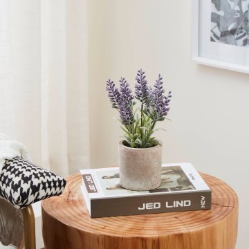 Eglo - Mākslīgais augs puķupodā 22x8 cm lavanda
