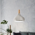 Eglo - Pakaramā lampa ar vadu 1xE27/60W/230V Ø 28 cm sudraba