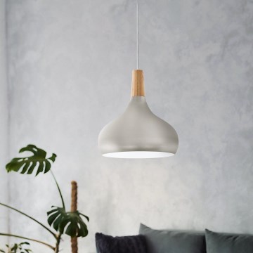 Eglo - Pakaramā lampa ar vadu 1xE27/60W/230V Ø 28 cm sudraba