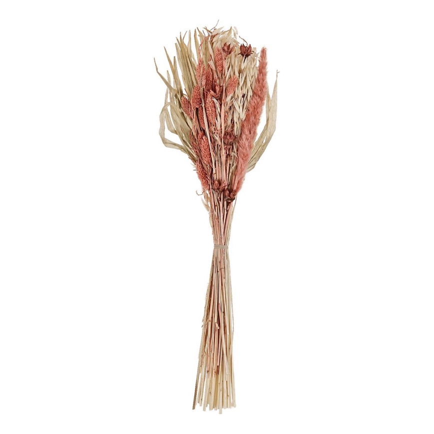 Eglo - Sausie ziedi 60 cm oranža