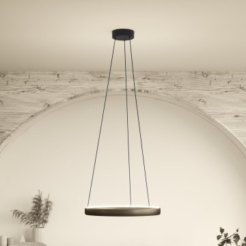 Eglo Stars of Light - regulējama LED lustra uz troses ar kustības sensoru 2xLED/25W/230V 2200-6500K Ø 80 cm brūna