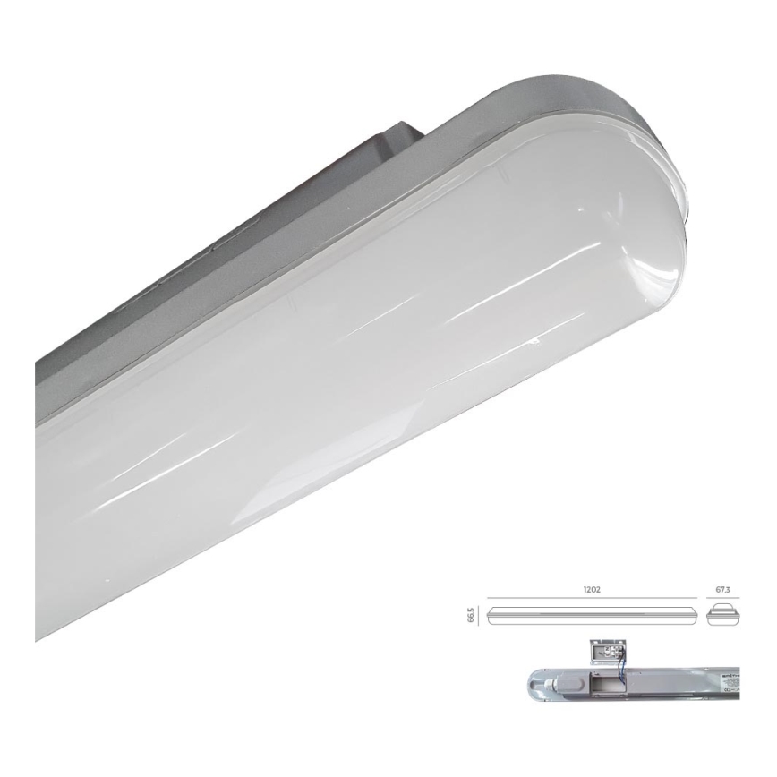 Emithor 31602 - LED Technical gaiša ELMINA LED/36W/230V IP65